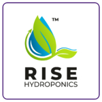RISE LOGO